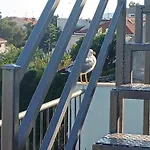 Roof Garden Center * Split