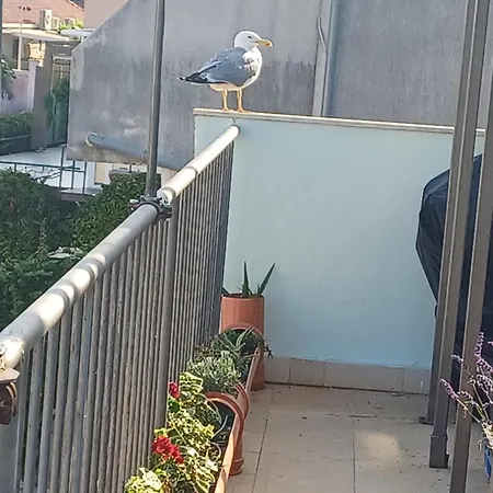 아파트 Roof Garden Center *