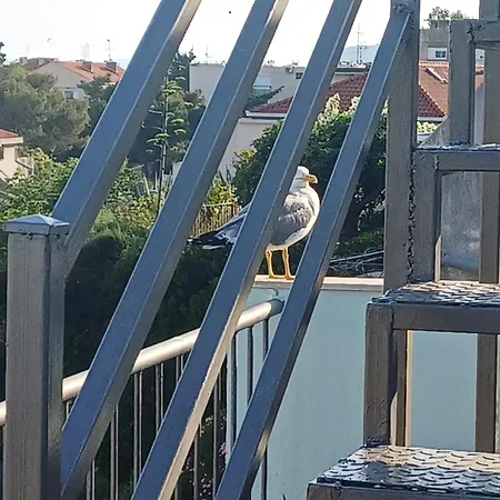 Roof Garden Center * Сплит